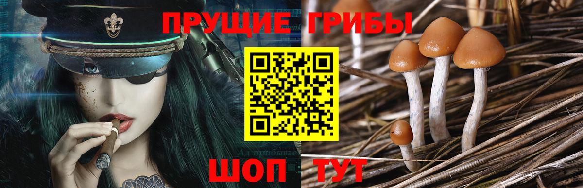 Галлюциногенные грибы мухоморы Семёнов